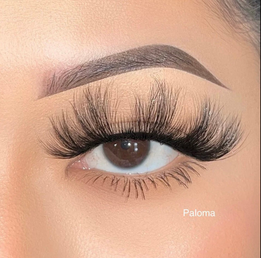 Paloma (New June 2025)