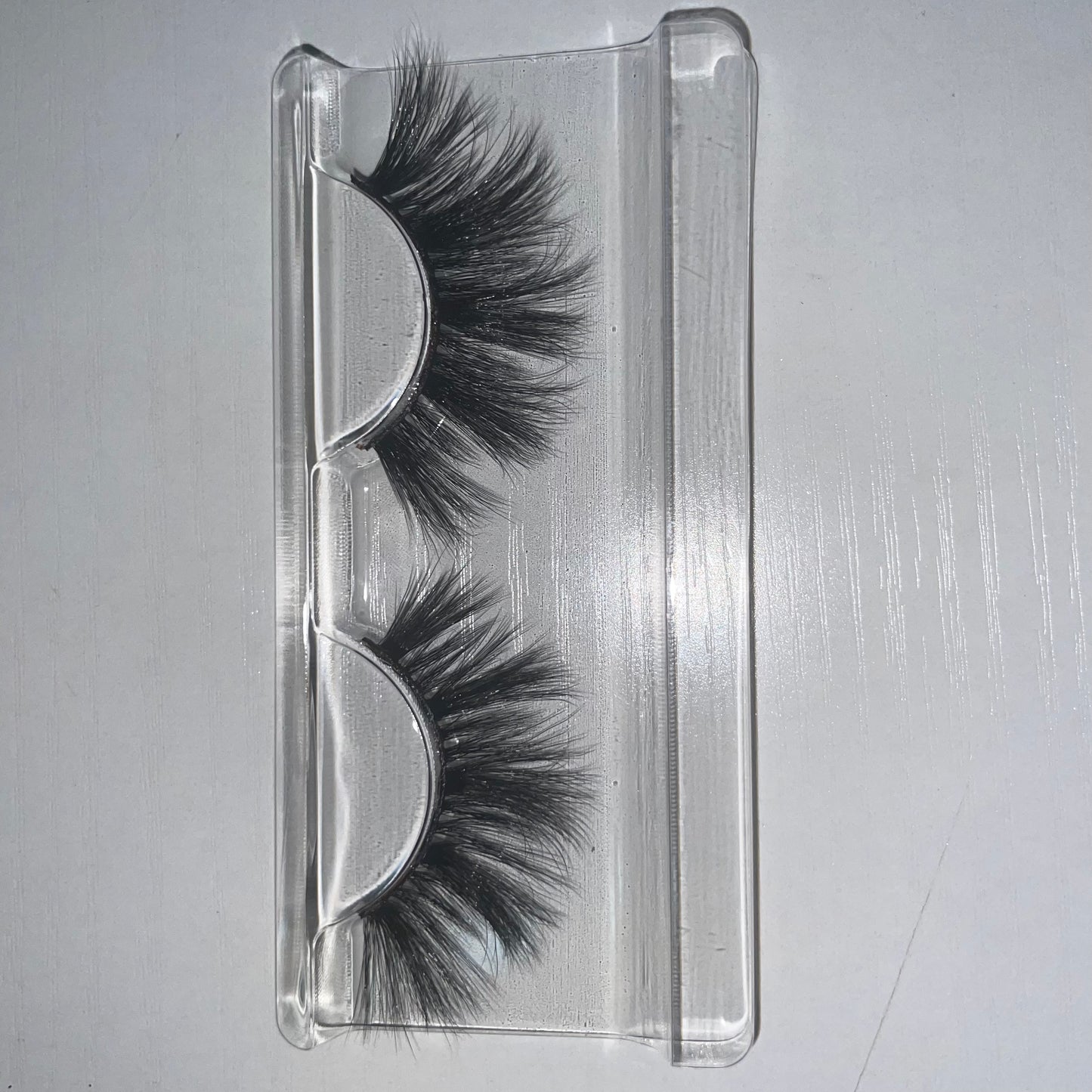 Paloma (New June 2025)