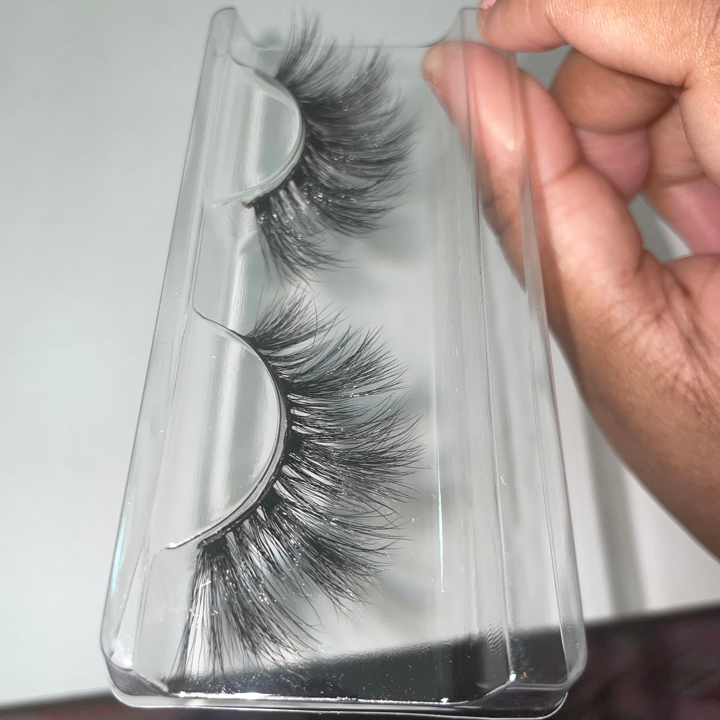 Paloma (New June 2025)