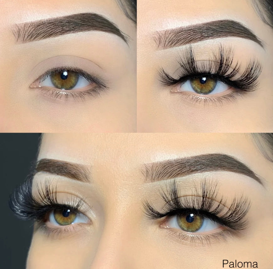 Paloma (New June 2025)